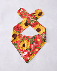 Autumn Sunflowers - Pet Bandana - Orange