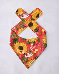 Autumn Sunflowers - Pet Bandana - Orange