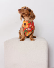 Autumn Sunflowers - Pet Bandana - Orange