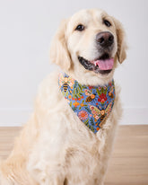 Bee Tapestry - Pet Bandana - Delphinium Blue