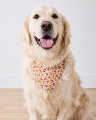 Bee Tapestry - Pet Bandana - Delphinium Blue