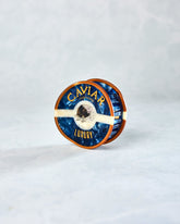 Blue - Hand Painted Caviar Claw Hair Clip - Solar Eclipse