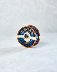 Blue - Hand Painted Caviar Claw Hair Clip - Solar Eclipse