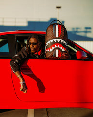 SHARKS IN PARIS GT BACKPACK