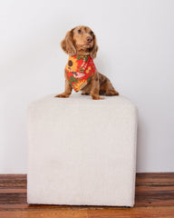 Autumn Sunflowers - Pet Bandana - Orange