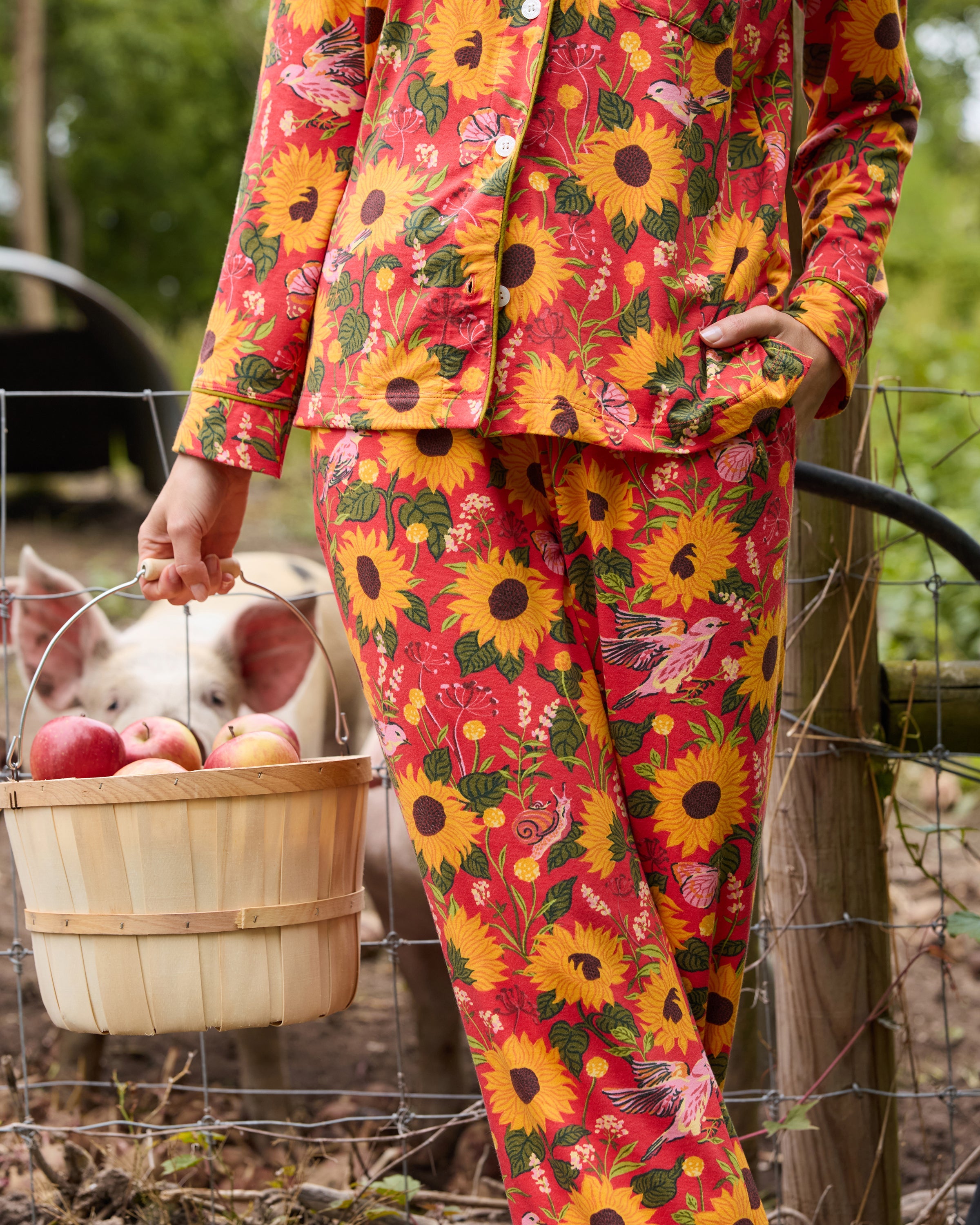 Autumn Sunflowers - Organic Pima Modal Knit Long PJ Set - Orange