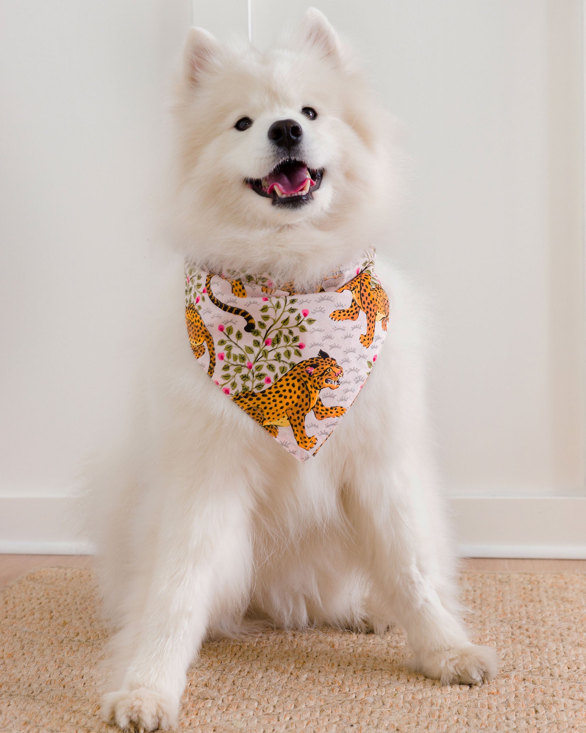 Bagheera - Pet Bandana - Blush