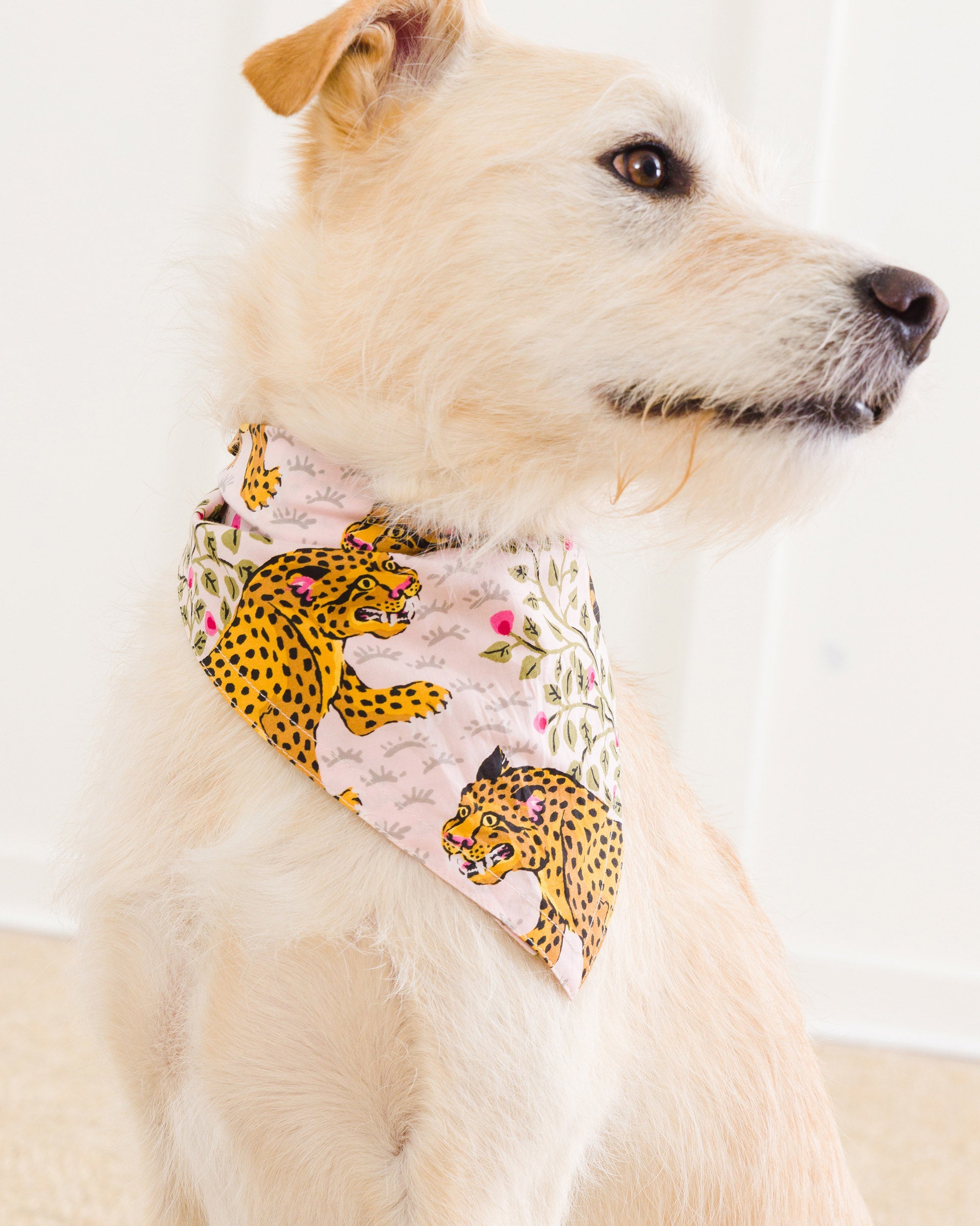 Bagheera - Pet Bandana - Blush