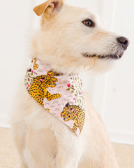 Bagheera - Pet Bandana - Blush
