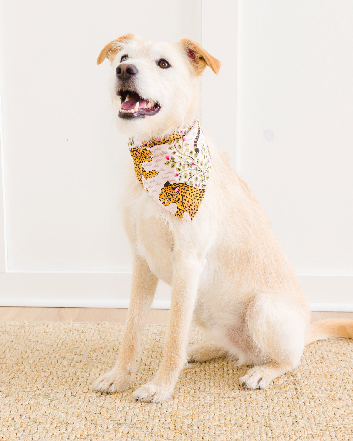 Bagheera - Pet Bandana - Blush