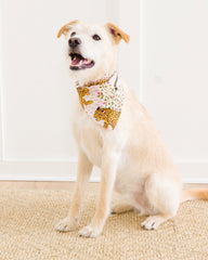Bagheera - Pet Bandana - Blush