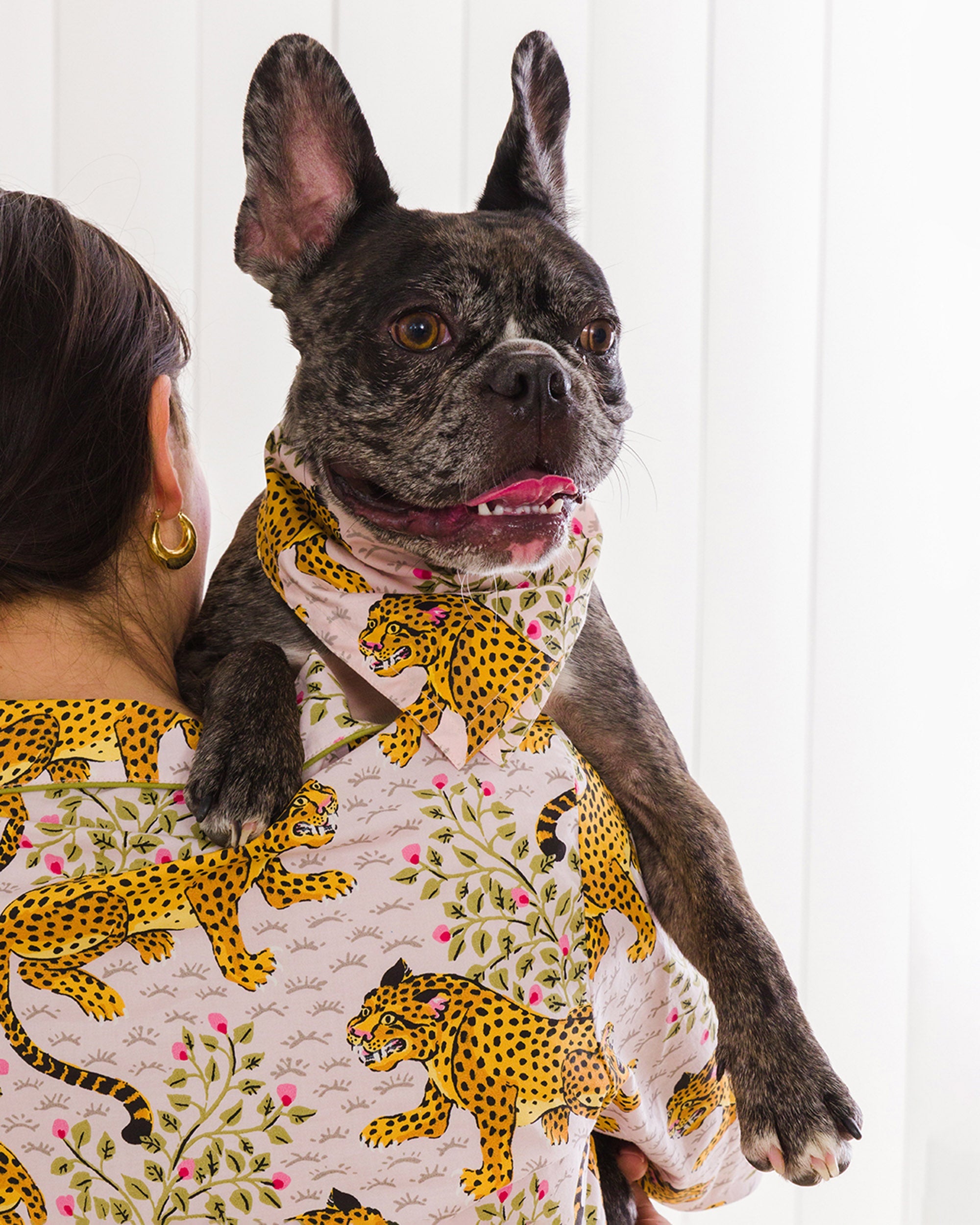 Bagheera - Pet Bandana - Blush