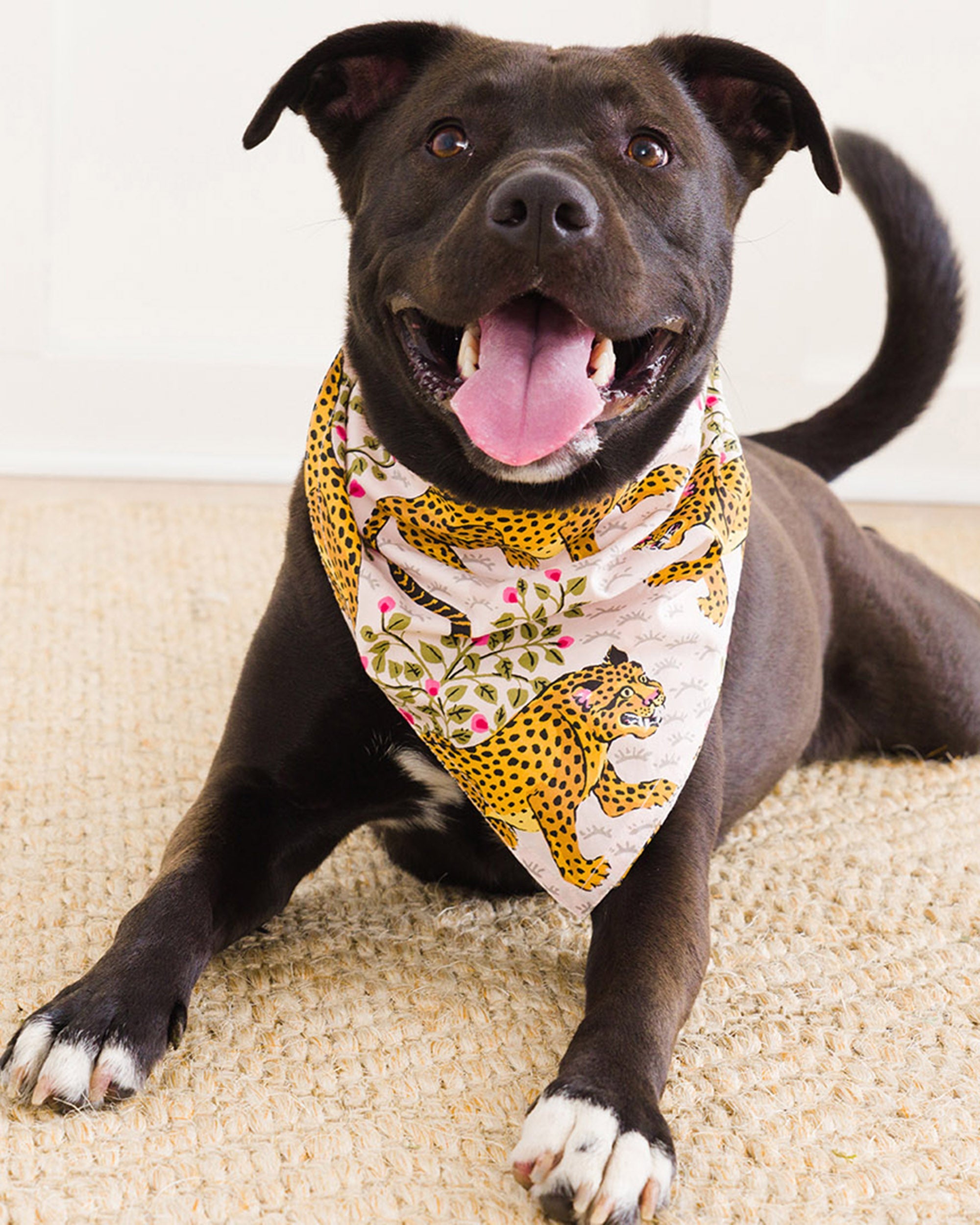 Bagheera - Pet Bandana - Blush
