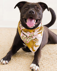 Bagheera - Pet Bandana - Blush