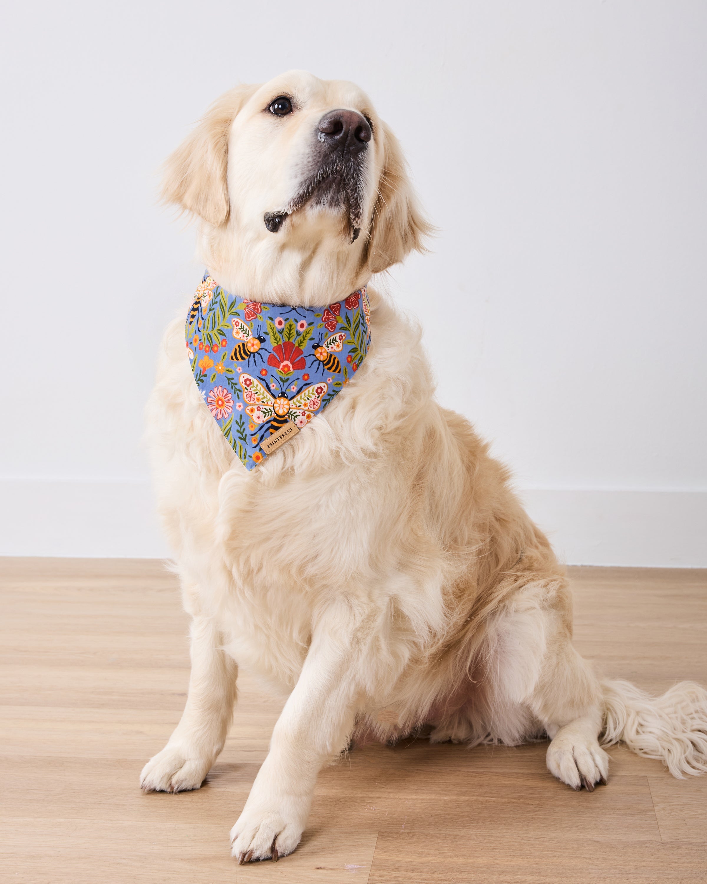 Bee Tapestry - Pet Bandana - Delphinium Blue