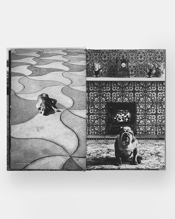 Black - Dogdogs Photography Book - Phaidon