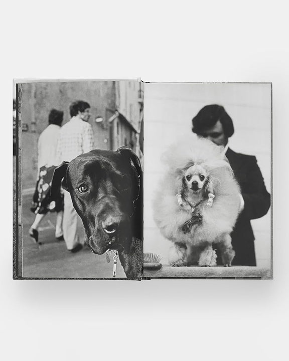 Black - Dogdogs Photography Book - Phaidon