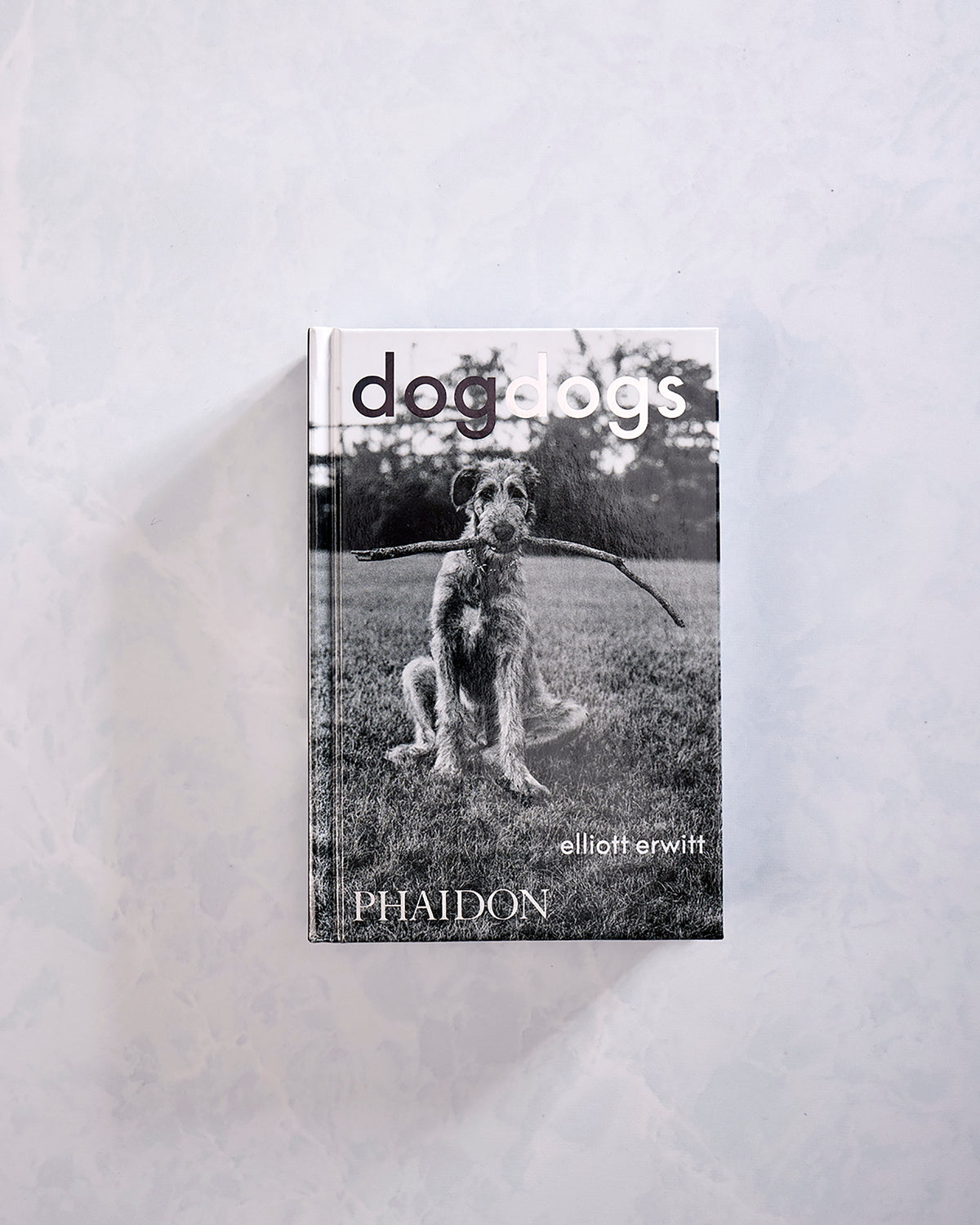 Black - Dogdogs Photography Book - Phaidon