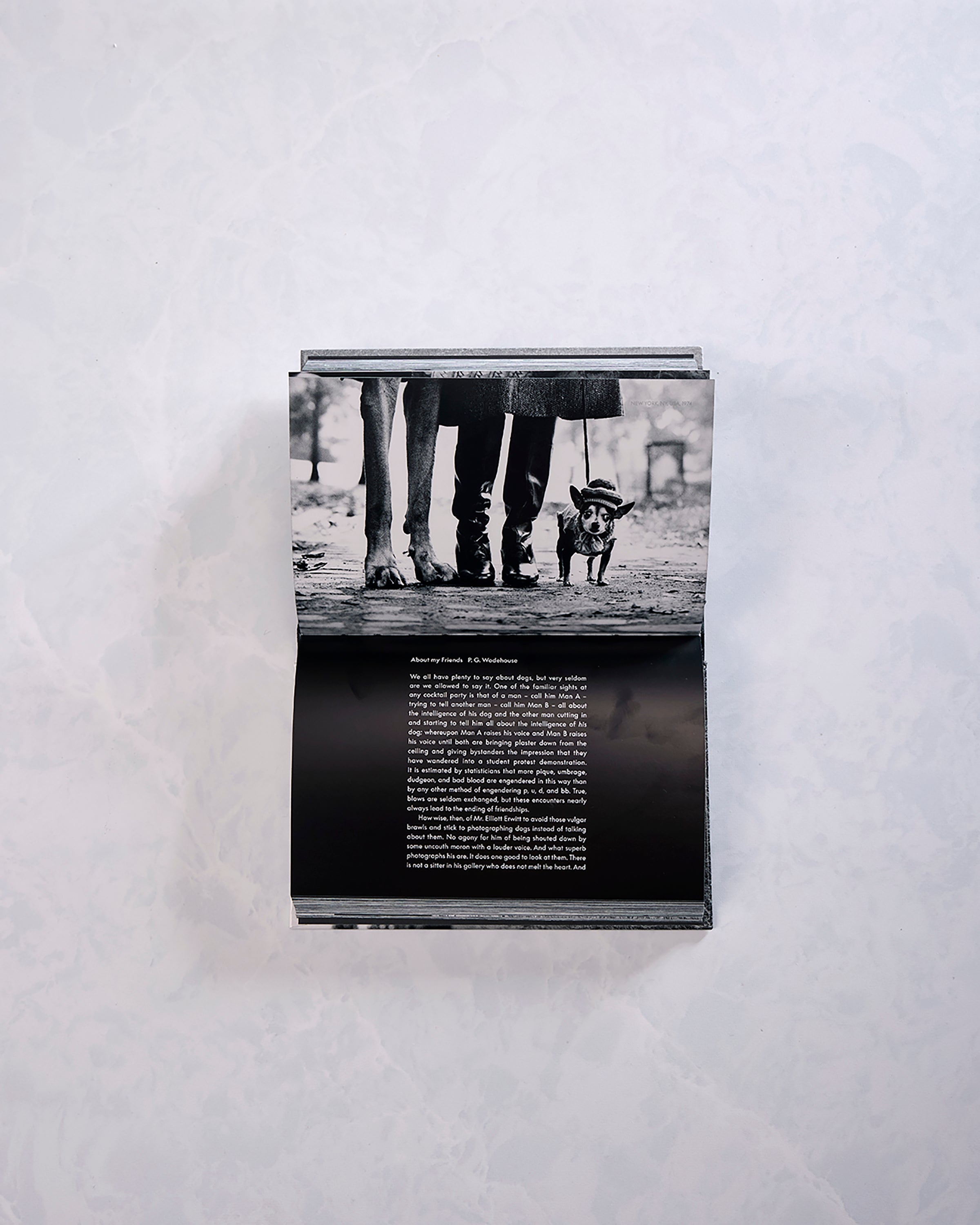 Black - Dogdogs Photography Book - Phaidon